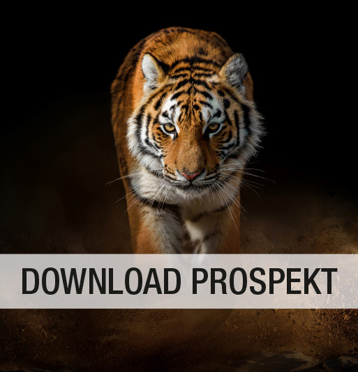 Visual Tiger | Download Prospekt